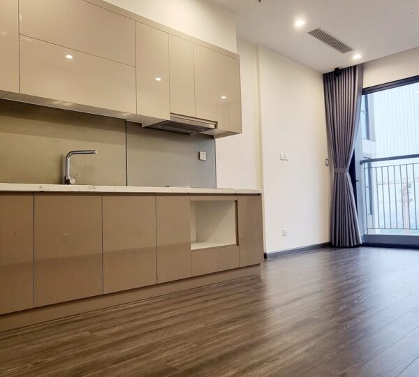 Thue-1pn-ruby-vinhomes
